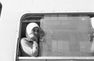 x Alexandria