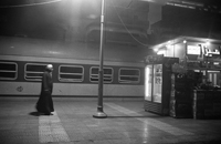 237 TREN EGYPTO
