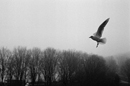 0001 Amsterdam