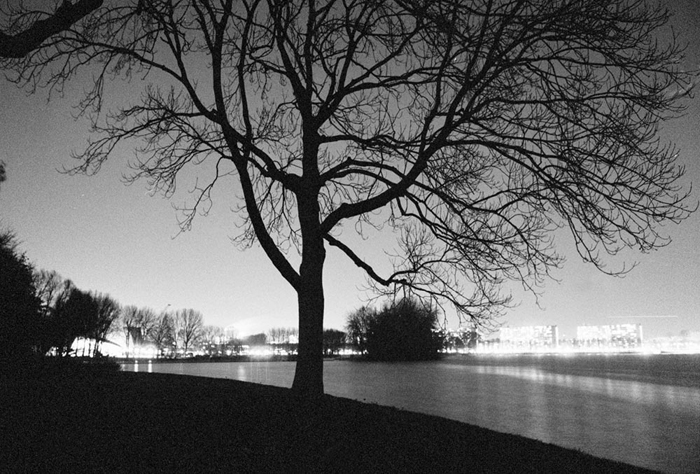 amsterdam sloterpark invierno