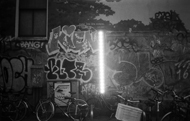 Amsterdam apartheid kills
