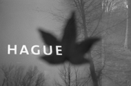 Hague