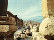 Palmyra