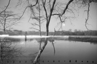 Sloterpark