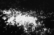 Calakmul