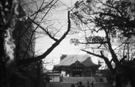 Hanazono Shrine Shinjuku