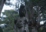 Koyasan Cementerio