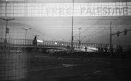 free palestine puente