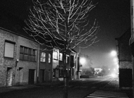 arbol hobboken