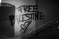 sardiña free palestine puerta